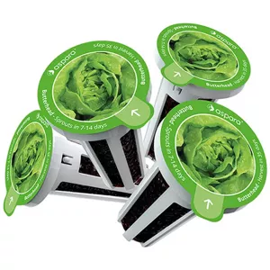 Sadenice Seed kit pack aspara by GrowGreen - lettuce (4897073820668)