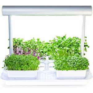 Microgreens by Leaf Learn Mini Starter Pack