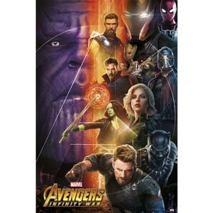 Plagát Avengers Infinity War - 1 (126)