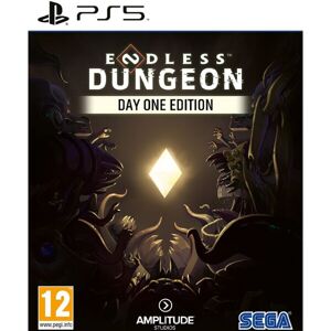 Endless Dungeon (PS5)