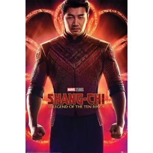 Plagát Shang-Chi a Legend of the Ten Rings - Flex (263)
