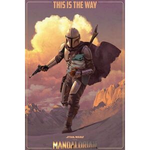 Plagát Star Wars: The Mandalorian - On The Run (259)