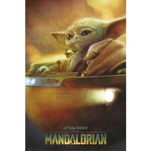 Plagát Star Wars: The Mandalorian - Grogu Pod (211)
