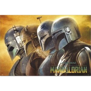 Plagát Star Wars: The Mandalorian - Mandalorians (212)