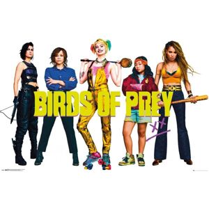 Plagát Birds Of Prey - Group (84)