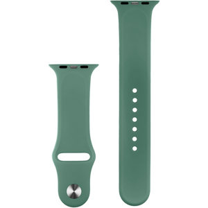 Náhradný remienok na Apple Watch 38/40/41 COTECi Silicone Sports Strap Pine Needle Green